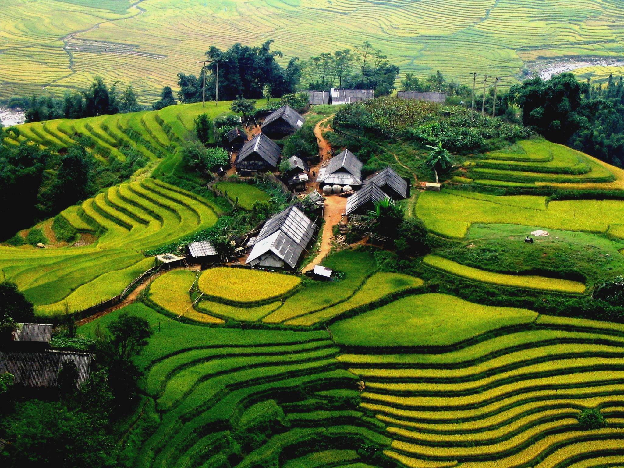 Bac Ha va Hoang Su Ph<br><small>(Terraced Rice Fields)</small>